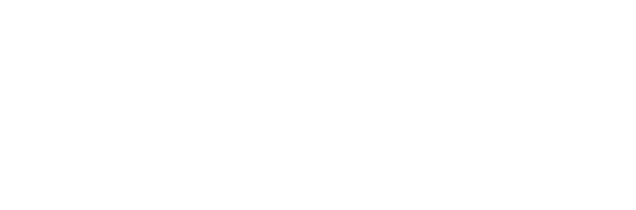 BOKS International logo